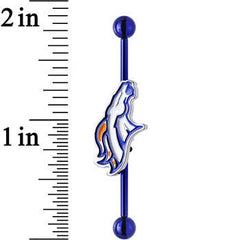 Licensed NFL Blue Anodized Denver Broncos Industrial Barbell 38mm