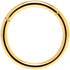 16G 3/8 Gold Tone Anodized Hinged Segment Ring