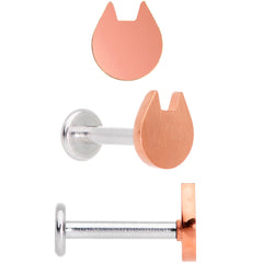 16G 5/16 Multicolor Internally Threaded Cat Labret Set of 4
