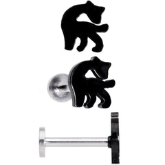 16G 5/16 Multicolor Internally Threaded Giraffe Labret Set of 4