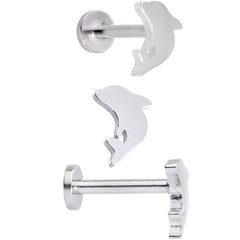 16G 5/16 Leaping Dolphins Labret Monroe Tragus Set of 4