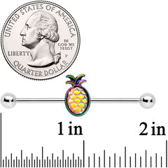 14G Rainbow Iridescent Dreamy Pineapple Industrial Barbell 38mm