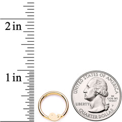 16G 3/8 Gold Tone Whale of a Hinged Segment Ring