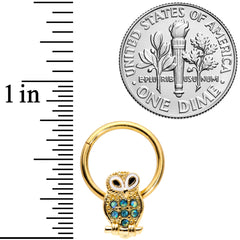16G 3/8 Aqua Gem Gold Tone Barn Owl Hinged Segment Ring