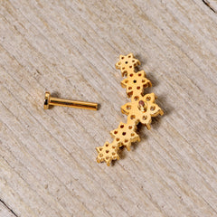 16G 5/16 Clear CZ Gem Gold Tone Floral Internal Thread Labret