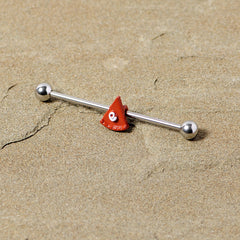14G Pumpkin Pie Thanksgiving Industrial Barbell 38mm