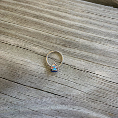 16G 3/8 Black Gem Pink Teal Nautical Sailboat Hinged Segment Ring