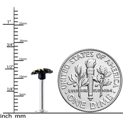 16G 5/16 Black Yellow Spooky Spider Halloween Labret Monroe Tragus