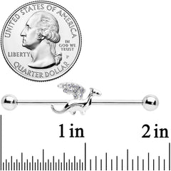 14G Clear Gem Dragon Industrial Barbell 38mm