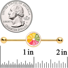 14G Gold Tone Rainbow Grapefruit Industrial Barbell 38mm