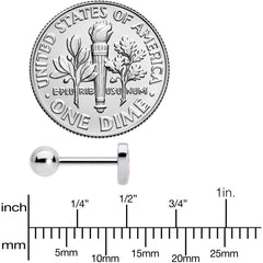 16G 1/4 Lesbian Pride Heart Cartilage Tragus Earring