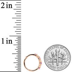 16G 3/8 Clear Pink CZ Gem Rose Gold Tone Hearts Hinged Segment Ring