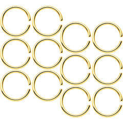 18G 5/16 Gold Tone Anodized Seamless Circular Ring Set of 12