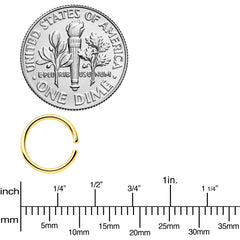 18G 5/16 Gold Tone Anodized Seamless Circular Ring Set of 12