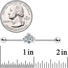 14G Clear Gem Classic Cluster Industrial Barbell 38mm