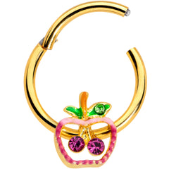 16G 3/8 Pink Purple Gem Gold Hue Apple Cherry Hinged Segment Ring