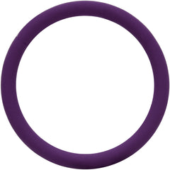 18G 3/8 Purple Matte Cartilage Hinged Segment Ring