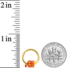 16G 3/8 Gold Tone Brown Happy Squirrel Acorn Hinged Segment Rnig
