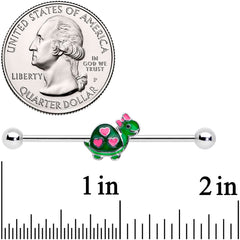 14G Pink Green Hearts Bow Pretty Turtle Industrial Barbell 38mm