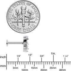16G 5/16 Clear CZ Gem Fan Internally Thread Labret Monroe Tragus