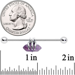 14G Purple Amethyst Claw Industrial Barbell 38mm