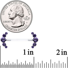 14G 13/16 Purple Gem Bioplast Simple Curvation Nipple Ring Set
