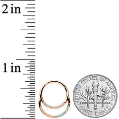 16G 3/8 White Synth Opal Rosy Tone Double Row Hinged Segment Ring
