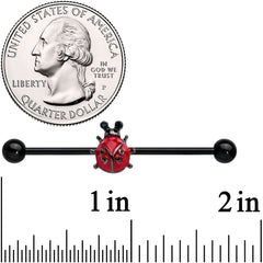 14G Black Classic Ladybug Industrial Barbell 38mm