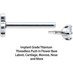 18G 5/16 Aurora CZ G23 Titanium Threadless Flower Labret Tragus