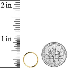 20G 3/8 Gold Tone PVD Grade 23 Titanium Bendable Hoop Ring