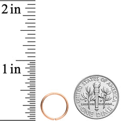 18G 3/8 Rose Gold Tone PVD Grade 23 Titanium Bendable Hoop Ring
