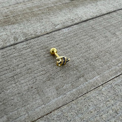 16G 1/4 Gold Tone Blue Adorable Angelfish Cartilage Tragus