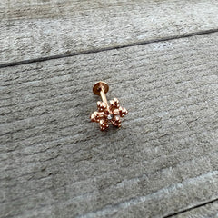 16G 5/16 Clear Gem Rose Gold Tone Snowflake Labret Monroe Tragus