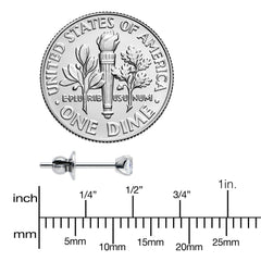 3mm Clear CZ Gem Implant Grade Titanium Stud Earrings