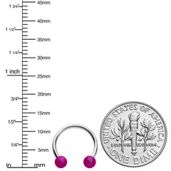 16G 3/8 Matte Purple Aurora Horseshoe Circular Barbell