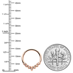 16G 3/8 Aurora CZ Gem Rose Gold Hue Seven Leaf Hinged Segment Ring