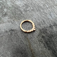 16G 3/8 Aurora CZ Gem Rose Gold Hue Seven Leaf Hinged Segment Ring