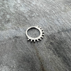 16G 3/8 Splatter Effect Hinged Segment Ring