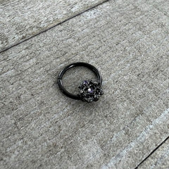 16G 3/8 Purple Gem Black Regal Crown Hinged Segment Ring