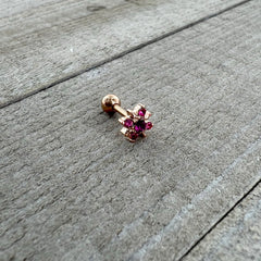 16G 1/4 Pink Gem Rose Gold Tone Rococo Star Cartilage Tragus