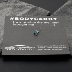 20G 1/4 Leaping Blue Dolphin L Shape Nose Ring