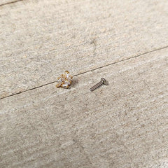 16G 1/4 Clear CZ Gem Leafy Golden Branch Threadless Labret Tragus