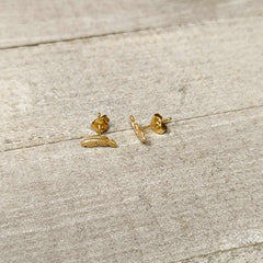 20G Gold Tone ASTM F-136 Implant Grade Titanium Fashion Feather Stud Earrings