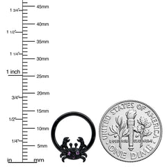 16G 3/8 Purple Gem Black Chic Crab Hinged Segment Ring