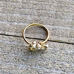 20G 5/16 Clear Gem Gold Tone Luscious Lizard Nose Hoop