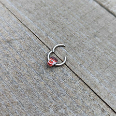 16G 5/16 Sweet Pumpkin Latte Autumn Hinged Segment Ring