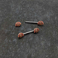 14G 9/16 Cute Colorful Turkeys Barbell Nipple Ring Set