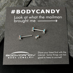 14G 9/16 Easter Bunny Blue Red Ears Barbell Nipple Ring Set