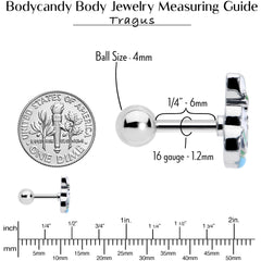 16G 1/4 Easter Egg Bunny Cartilage Tragus Earring