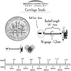 16G 1/4 Clear CZ Gem Heart of Spider Cartilage Tragus Earring